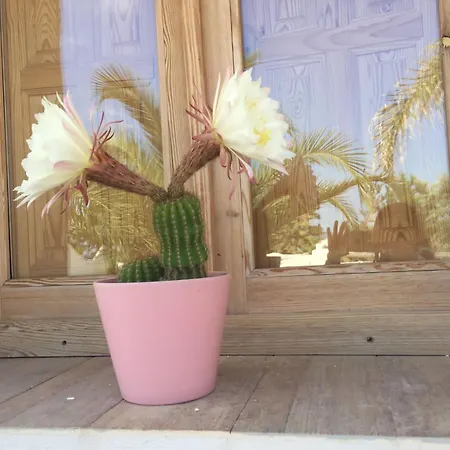 Finca El Atardecer-luna